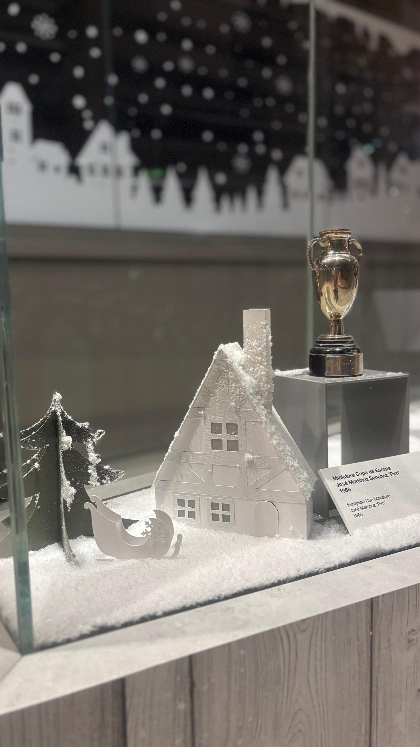 Tour Real Madrid Navidad ´25